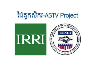 IRRI-5B.jpg