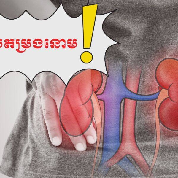 ជំងឺខ្សោយតម្រងនោមដោយសារការបរិភោគប្រមាត់ត្រី