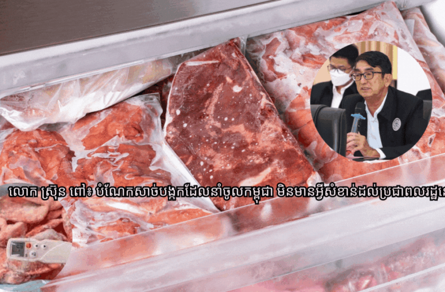 លោកស្រ៊ុន ពៅ៖ បំណែកសាច់បង្កកដែលនាំចូលកម្ពុជា មិនមានអ្វីសំខាន់ដល់ប្រជាពលរដ្ឋនោះទេ